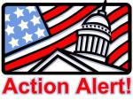 ActionAlert.jpg